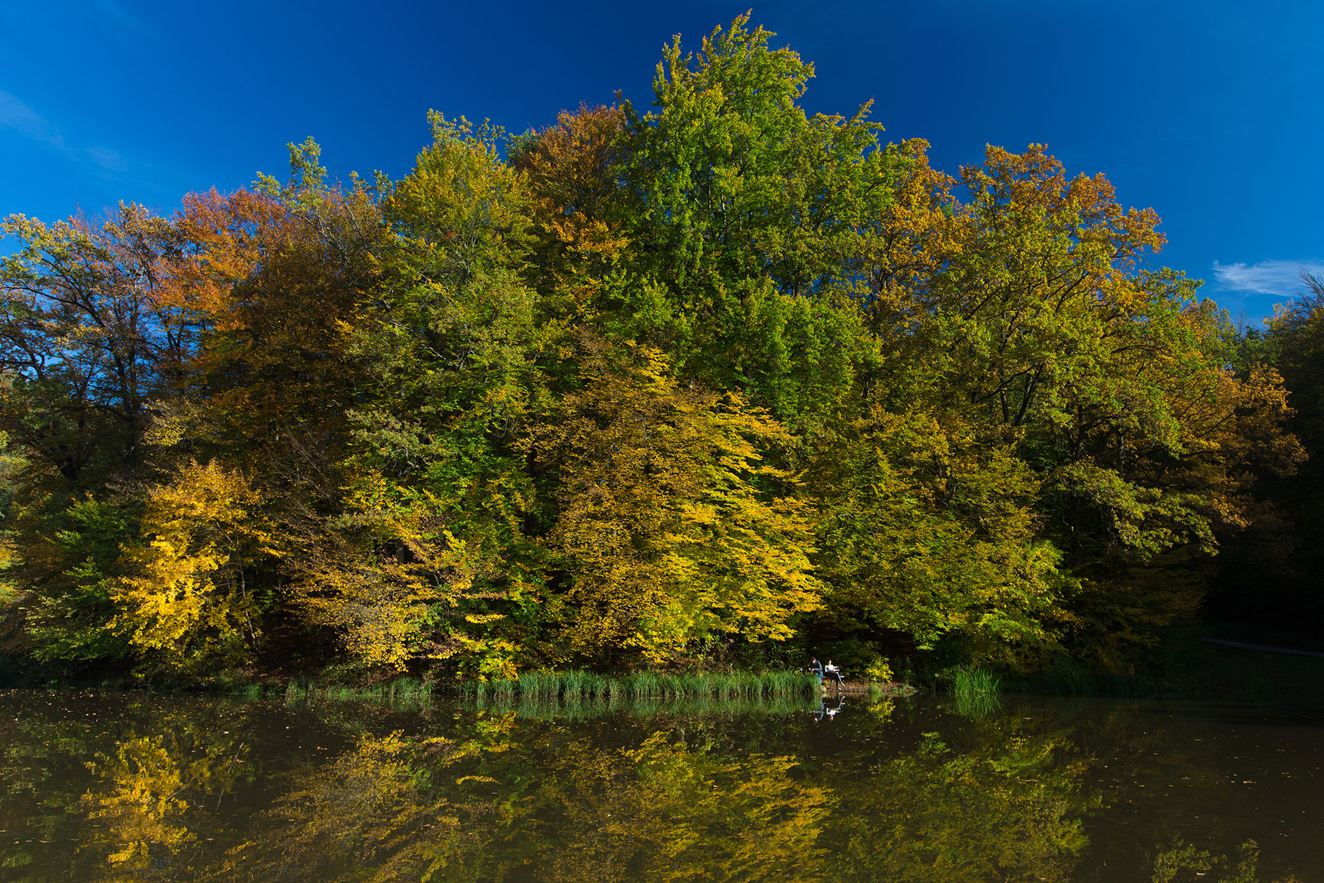 Amtstafel Marktgemeinde Thal
