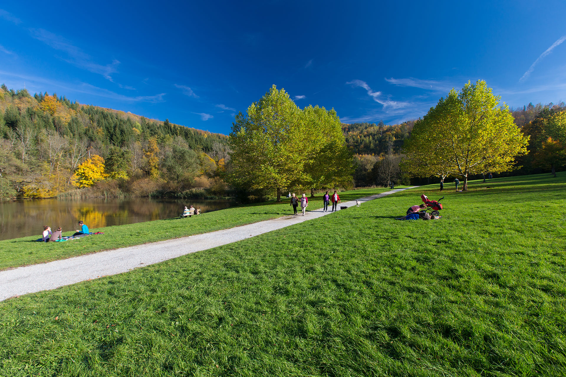 Jugendliche Marktgemeinde Thal Page 9260