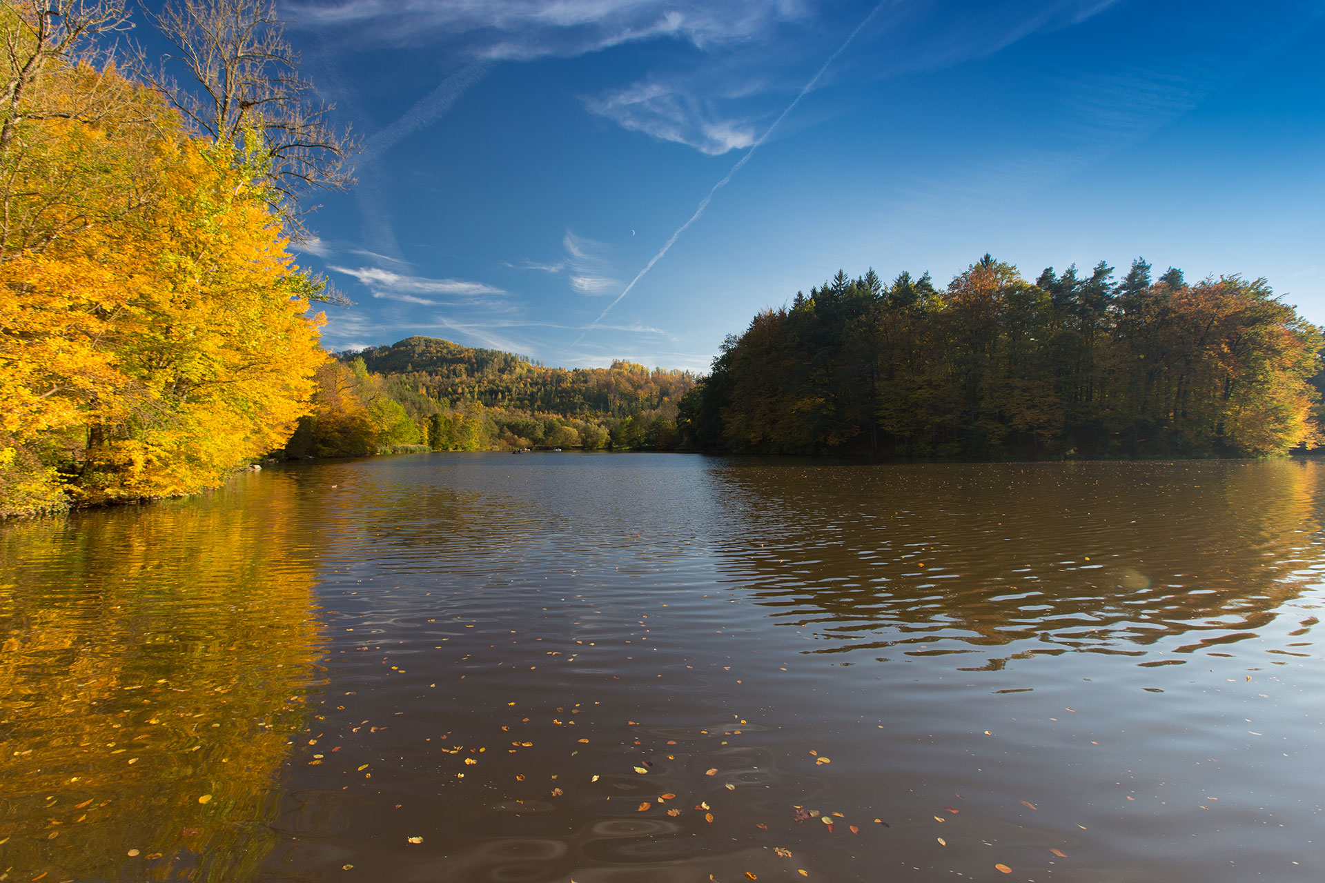 Marktgemeinde Thal Unsere Gemeinde Unser Leben